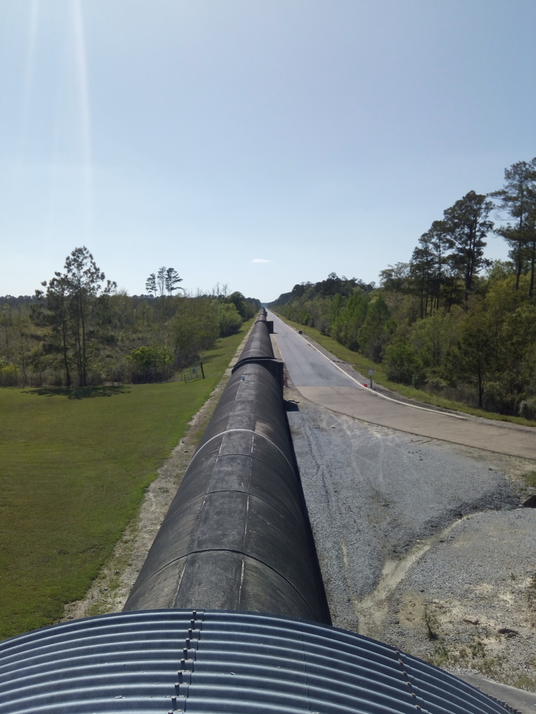 A long concrete tube stretches off into the distance through a pine forest.
